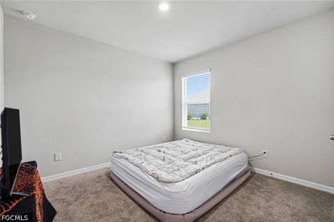 20313 Camino Torcido Loop, North Fort Myers FL - photo 9 of 24