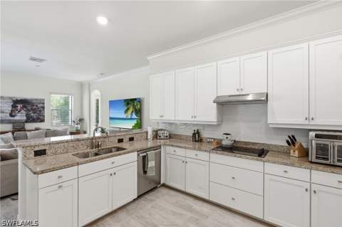 14189 Mindello Dr, Fort Myers FL - photo 14 of 50