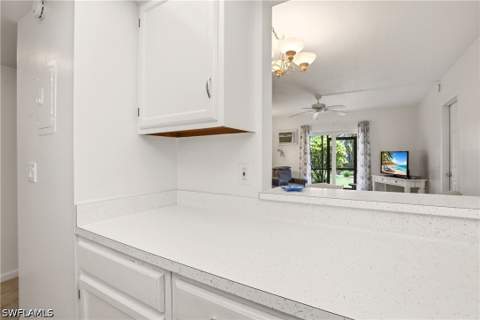 87 N Collier Blvd N2, Marco Island FL - photo 6 of 18