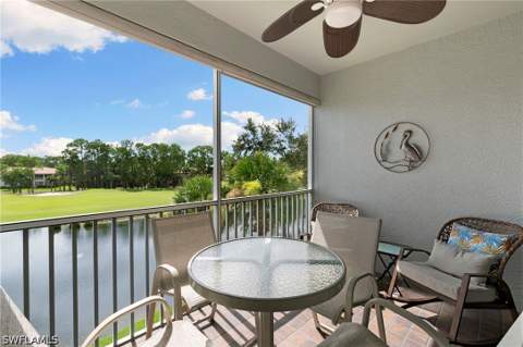 3935 Loblolly Bay Dr 303, Naples FL - photo 19 of 38