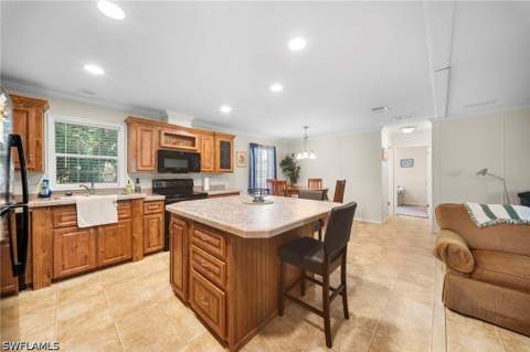 27472 Rue Viauv Ave, Bonita Springs FL - photo 6 of 19