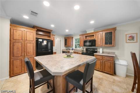 27472 Rue Viauv Ave, Bonita Springs FL - photo 7 of 19