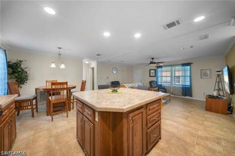 27472 Rue Viauv Ave, Bonita Springs FL - photo 9 of 19