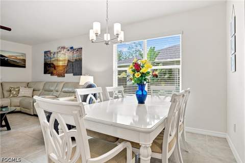 20587 Plumwood Loop, North Fort Myers FL - photo 10 of 38