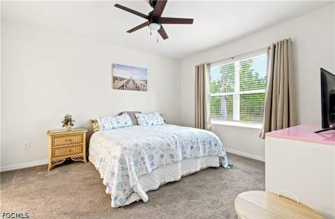 20587 Plumwood Loop, North Fort Myers FL - photo 14 of 38