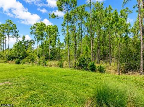 20587 Plumwood Loop, North Fort Myers FL - photo 22 of 38