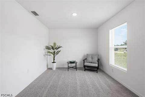 811 Coffield Ave, Lehigh Acres FL - photo 13 of 48