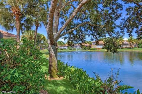 2325 Island Cove Cir, Naples FL - photo 18 of 19