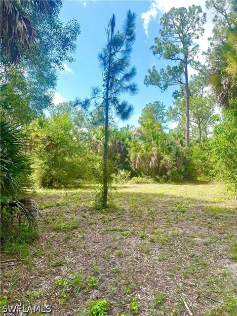 2910 6th Ave SE, Naples FL - photo 23 of 24