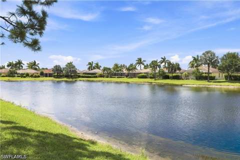 14658 Fern Lake Ct, Naples FL - photo 19 of 49