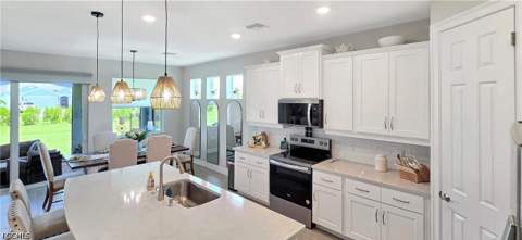 16791 Elkhorn Coral Dr, North Fort Myers FL - photo 23 of 41