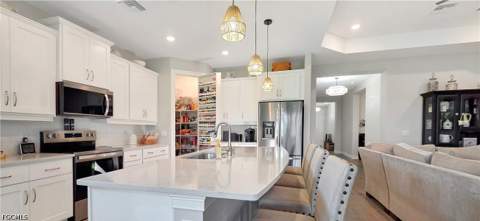 16791 Elkhorn Coral Dr, North Fort Myers FL - photo 24 of 41