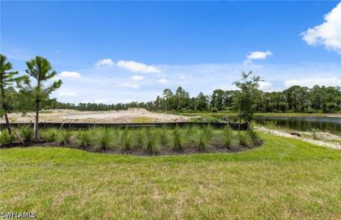 2049 Terreno Blvd, Naples FL - photo 20 of 28