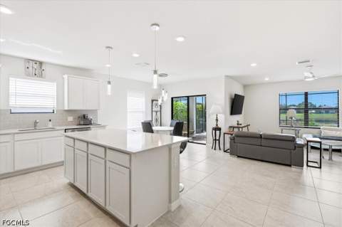10761 Firebush Cir, North Fort Myers FL - photo 8 of 41