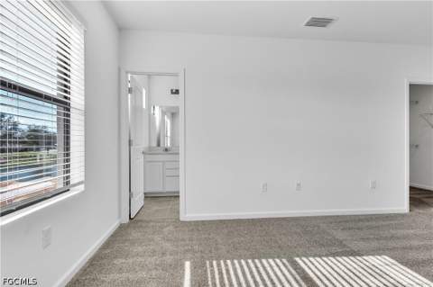 1424 Weeping Willow Ct, Cape Coral FL - photo 19 of 28