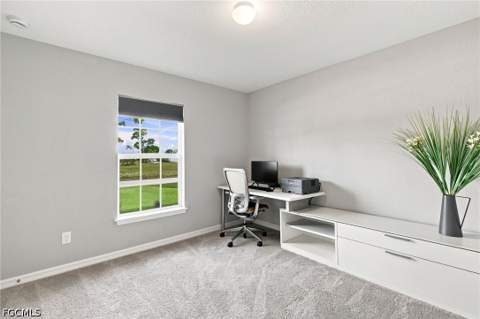 2725 NW 19th Pl, Cape Coral FL - photo 13 of 29
