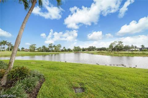 413 Augusta Blvd 105, Naples FL - photo 23 of 30