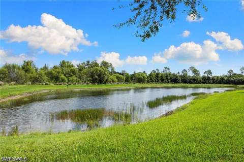 6907 Cocoplum St, Naples FL - photo 13 of 43