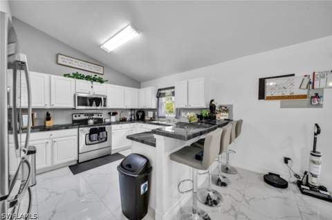 2071 20th Ave NE, Naples FL - photo 14 of 38