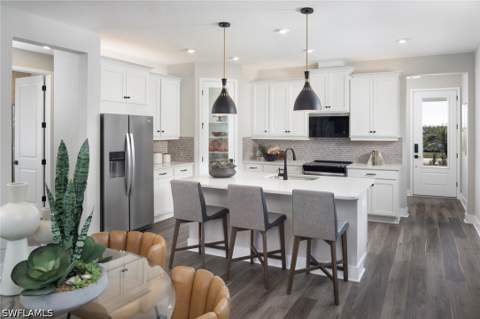 1629 Summerlit Ave, Naples FL - photo 8 of 16