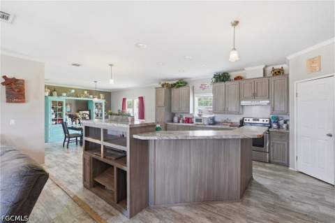 3621 Dustin Dr, Labelle FL - photo 14 of 36