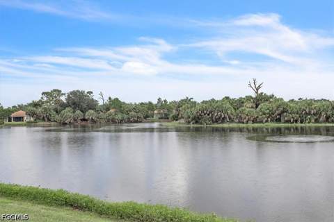 13064 Silver Thorn Loop, North Fort Myers FL - photo 24 of 75