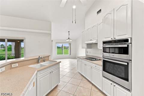 3515 NW 15th St, Cape Coral FL - photo 10 of 20