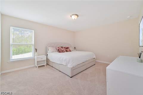3733 Crofton Ct, Fort Myers FL - photo 21 of 38