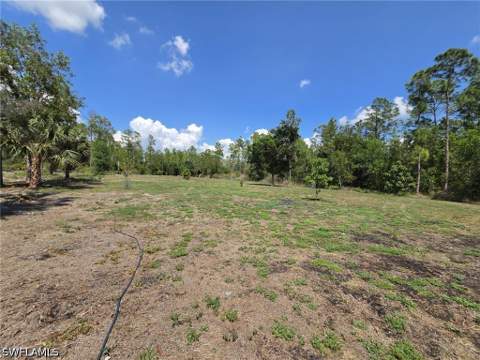 2491 54th Ave NE, Naples FL - photo 18 of 20
