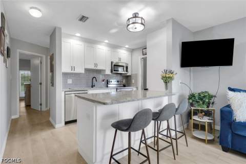 46 Laconia Ct, Fort Myers FL - photo 6 of 41