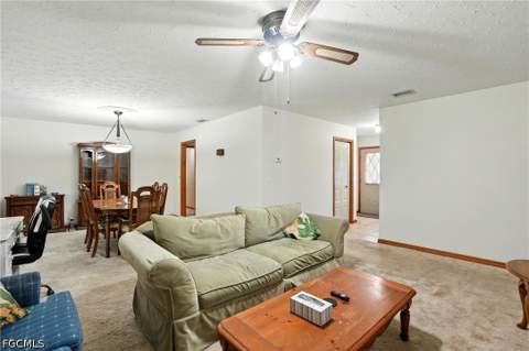 5006 Pike Ln, Labelle FL - photo 11 of 46
