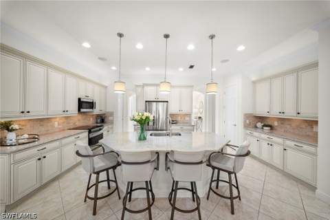 10238 Ashbrook Ct, Fort Myers FL - photo 10 of 48