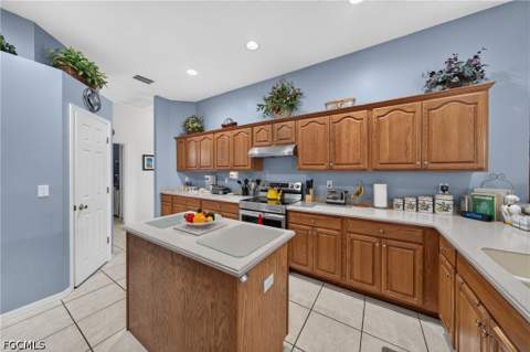 816 Palmetto Ave, Lehigh Acres FL - photo 14 of 43