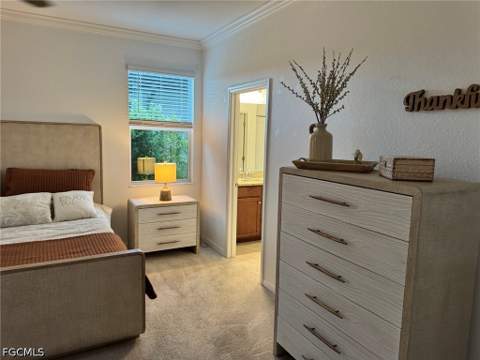 16207 Bacopa Dr, Alva FL - photo 15 of 31