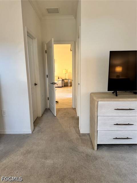 16207 Bacopa Dr, Alva FL - photo 18 of 31
