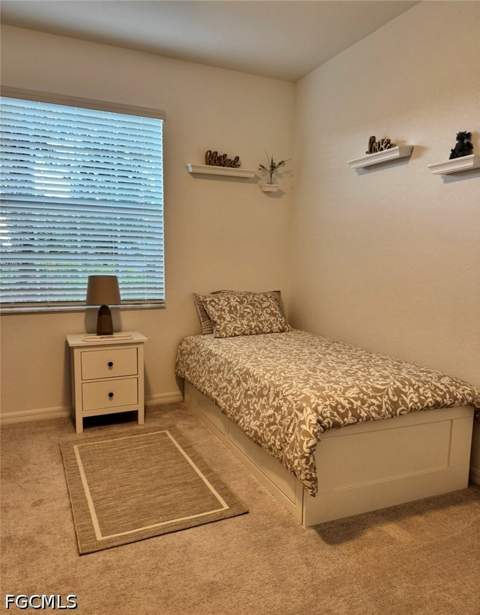 16207 Bacopa Dr, Alva FL - photo 23 of 31