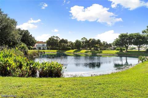 1380 Areca Cv, Naples FL - photo 6 of 50