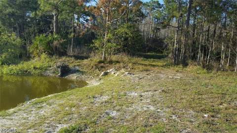16960 Wildcat Dr, Fort Myers FL - photo 22 of 27