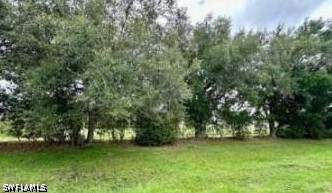 2 bedroom ManufacturedHome at 5 Bass Ln 5, Imperial Wilderness, Naples — photo 5