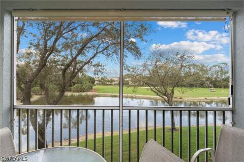3935 Loblolly Bay Dr 201, Naples FL - photo 19 of 26