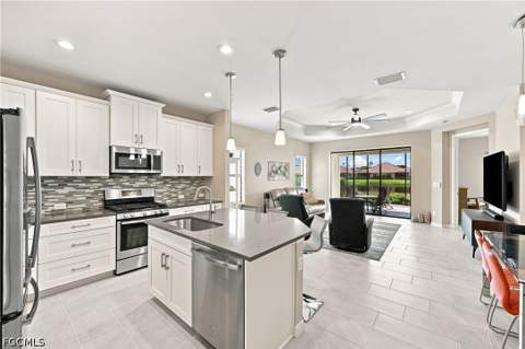 4685 Watercolor Way, Fort Myers FL - photo 9 of 50