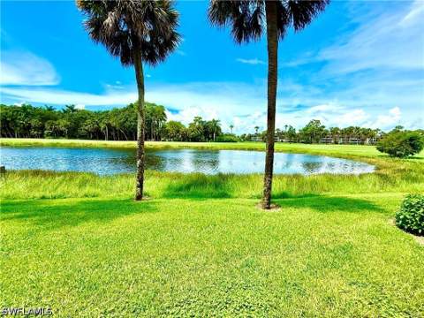 110 Wilderness Dr 129, Naples FL - photo 18 of 32