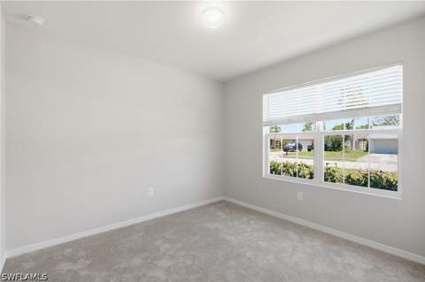 27580 Los Amigos Ln, Bonita Springs FL - photo 14 of 36