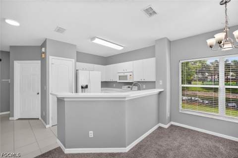 1338 Weeping Willow Ct, Cape Coral FL - photo 17 of 50