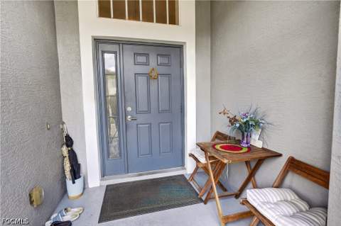 9689 Pineapple Preserve Ct, Fort Myers FL - photo 9 of 49