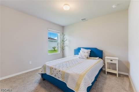8908 Cascade Price Cir, North Fort Myers FL - photo 21 of 50