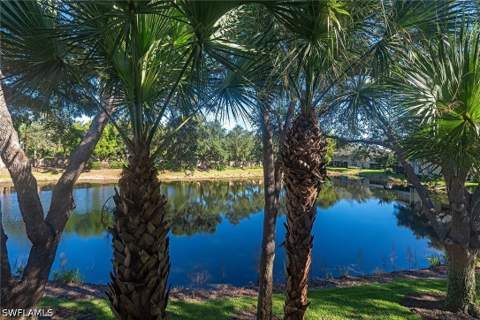 7115 Wild Forest Ct 201, Naples FL - photo 13 of 18