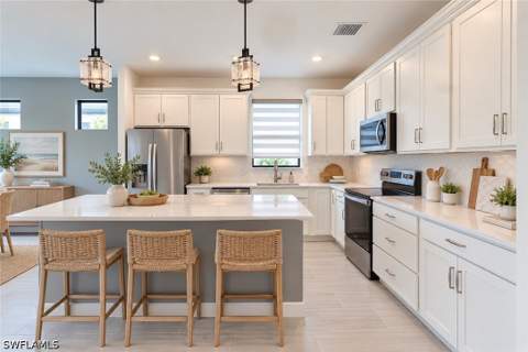 5596 Celebration Dr, Ave Maria FL - photo 6 of 26