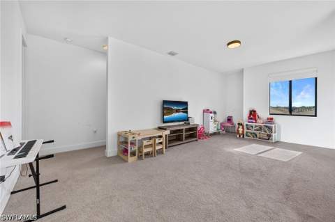 5047 Penella Ave, Ave Maria FL - photo 20 of 48