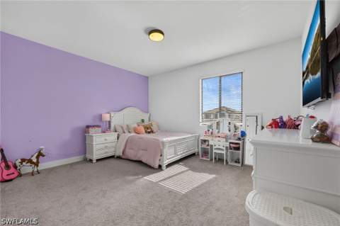 5047 Penella Ave, Ave Maria FL - photo 23 of 48
